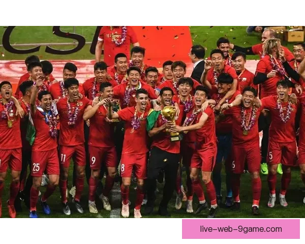 围绕江苏舜天足球直播全程解析球队赛场表现与精彩瞬间深度解读